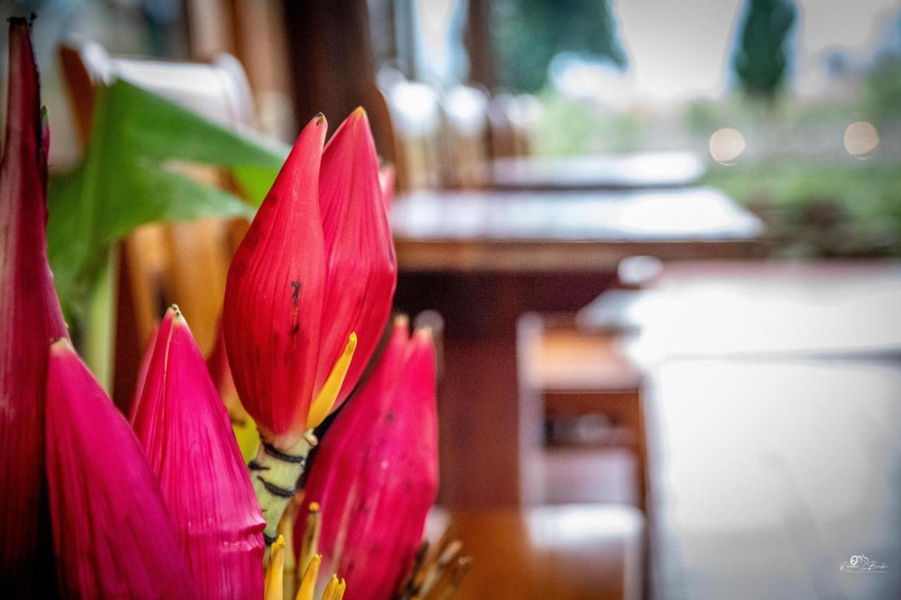 Sapa Riverside Ecolodge & Spa المظهر الخارجي الصورة